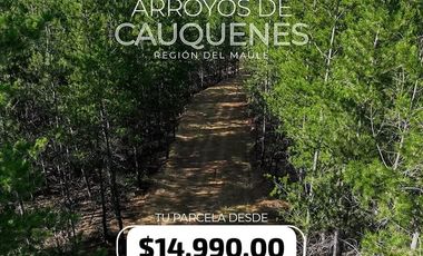 Parcela en Venta en Cauquenes , parcelas planas