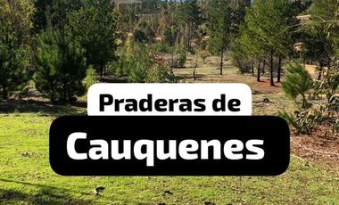 Parcela en Venta en Cauquenes , parcelas planas