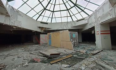 OPORTUNIDAD LOCAL PARA NEARSHORING EN CENTRAL DE PLAZAS SOBRE AVENIDA CENTRAL