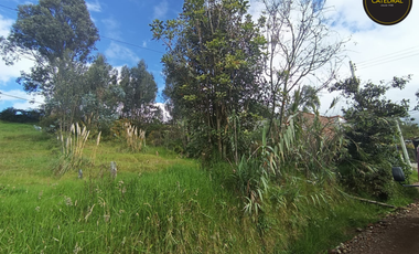 Terreno de venta en Ochoa León – código:21857