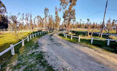 ARRIENDO PARCELA 5.000 M2 CON CASA 5D/1B EN LITUECHE