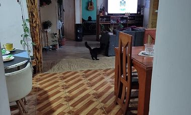 ARRIENDO PARCELA 5.000 M2 CON CASA 5D/1B EN LITUECHE