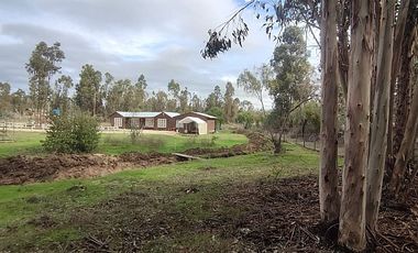 ARRIENDO PARCELA 5.000 M2 CON CASA 5D/1B EN LITUECHE