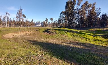 ARRIENDO PARCELA 5.000 M2 CON CASA 5D/1B EN LITUECHE