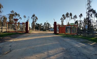 ARRIENDO PARCELA 5.000 M2 CON CASA 5D/1B EN LITUECHE