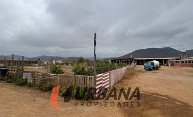 AMPLIA PARCELA EN LOMAS DE QUITALLACO, ESTANCIA TAMBILLOS