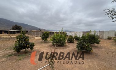 AMPLIA PARCELA EN LOMAS DE QUITALLACO, ESTANCIA TAMBILLOS