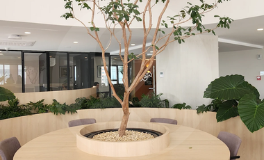 Departamento en renta en Juárez