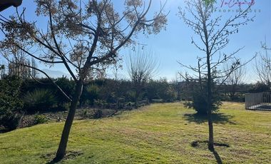 Casa en Arriendo en Colonia Alemana - Camino Berlin