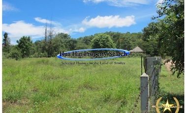 8000 sq/m of land near Soi 102