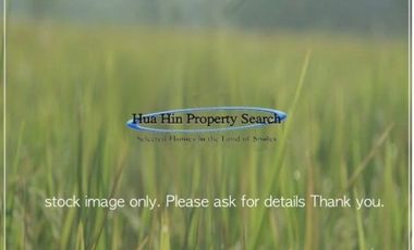 8000 sq/m of land near Soi 102