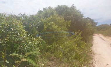 25 Rai of land near Banyan Golf Course