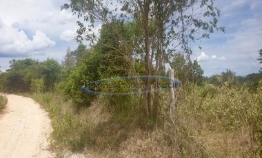 25 Rai of land near Banyan Golf Course