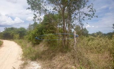 25 Rai of land near Banyan Golf Course
