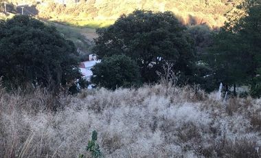 Terreno en Venta, Zona Esmeralda, 771 mts.