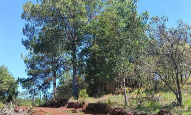 SAN CRISTOBAL DE LAS CASAS TERRENO OPORTUNIDAD