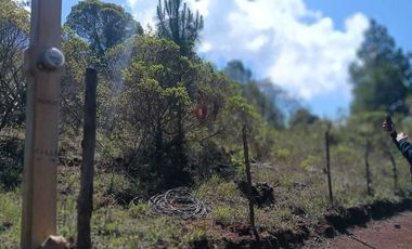 SAN CRISTOBAL DE LAS CASAS TERRENO OPORTUNIDAD