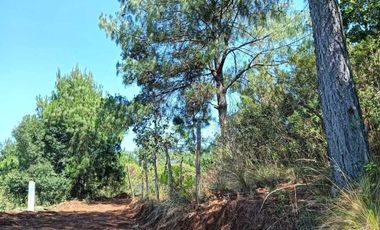 SAN CRISTOBAL DE LAS CASAS TERRENO OPORTUNIDAD