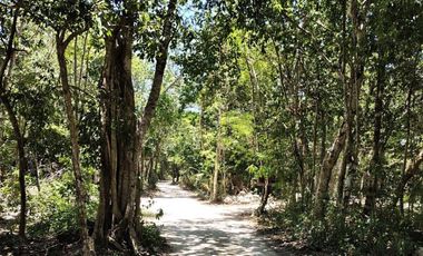 Casa en plena Naturaleza en la zona de Akumal, Riviera Maya