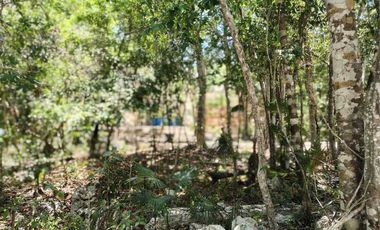 Casa en plena Naturaleza en la zona de Akumal, Riviera Maya