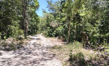 Casa en plena Naturaleza en la zona de Akumal, Riviera Maya