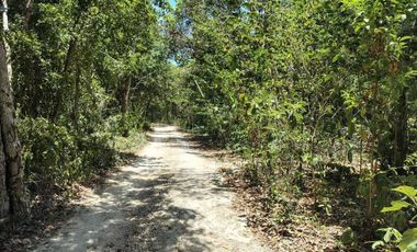 Casa en plena Naturaleza en la zona de Akumal, Riviera Maya