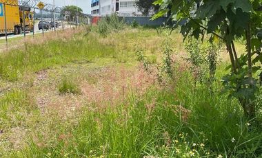 Terreno en renta , San Juan de Ocotan , Zapopan ,Jalisco