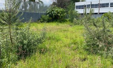 Terreno en renta , San Juan de Ocotan , Zapopan ,Jalisco