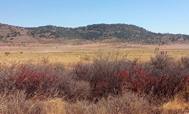 5 Hectáreas de Parcela Agropecuaria