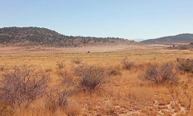 5 Hectáreas de Parcela Agropecuaria