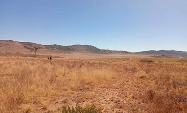 5 Hectáreas de Parcela Agropecuaria
