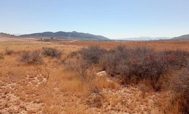 5 Hectáreas de Parcela Agropecuaria