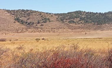 5 Hectáreas de Parcela Agropecuaria
