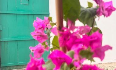 Casa en segunda fila de la playa en renta en Chuburná Puerto
