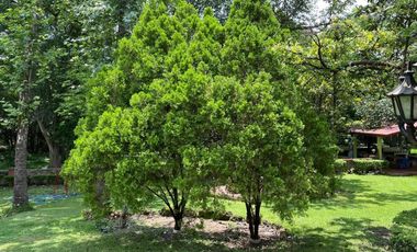 Quinta En Venta, Santiago, Nuevo León