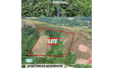 LA LAGUNA / SAN CARLOS / 7.7 HECTAREAS / VIA PRINCIPAL DE ACCESO JC