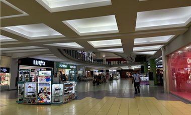 LOCALES UNIFICADOS EN ALBROOK MALL – PASILLO DEL HIPOPÓTAMO