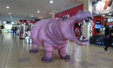 LOCALES UNIFICADOS EN ALBROOK MALL – PASILLO DEL HIPOPÓTAMO
