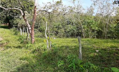 Venta Lotes Fredonia suroeste antioqueño