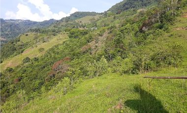 Venta Lotes Fredonia suroeste antioqueño