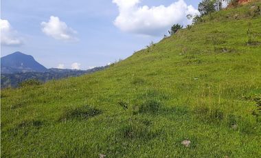 Venta Lotes Fredonia suroeste antioqueño