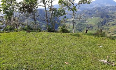 Venta Lotes Fredonia suroeste antioqueño