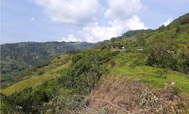 Venta Lotes Fredonia suroeste antioqueño