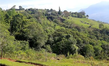 Venta Lotes Fredonia suroeste antioqueño