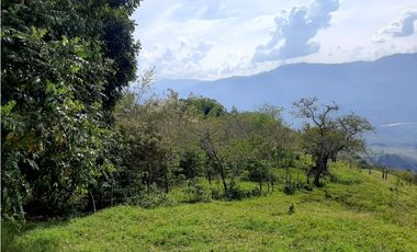 Venta Lotes Fredonia suroeste antioqueño