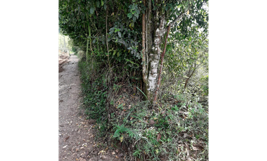 Venta Lotes Fredonia suroeste antioqueño