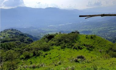 Venta Lotes Fredonia suroeste antioqueño