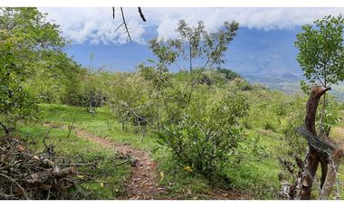 Venta Lotes Fredonia suroeste antioqueño