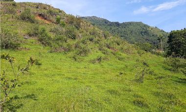 Venta Lotes Fredonia suroeste antioqueño