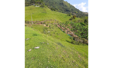 Venta Lotes Fredonia suroeste antioqueño